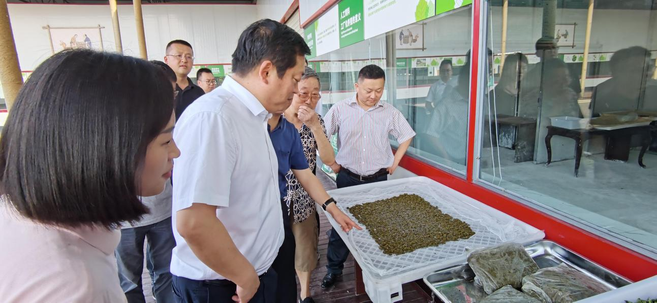 省40001百老汇集团党委副书记、董事陈日赴嘉陵区调研茶桑产业发展情况
